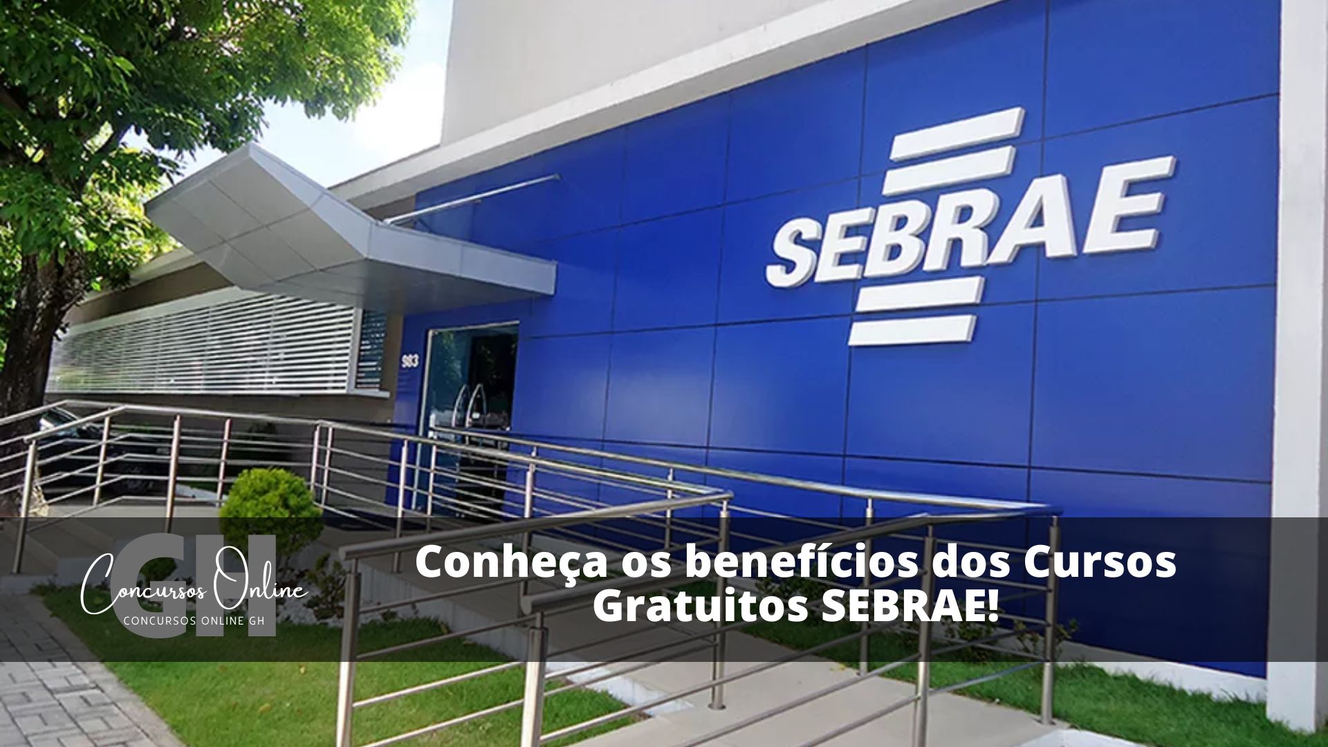 Conheça Os Benefícios Dos Cursos Gratuitos Sebrae 5738